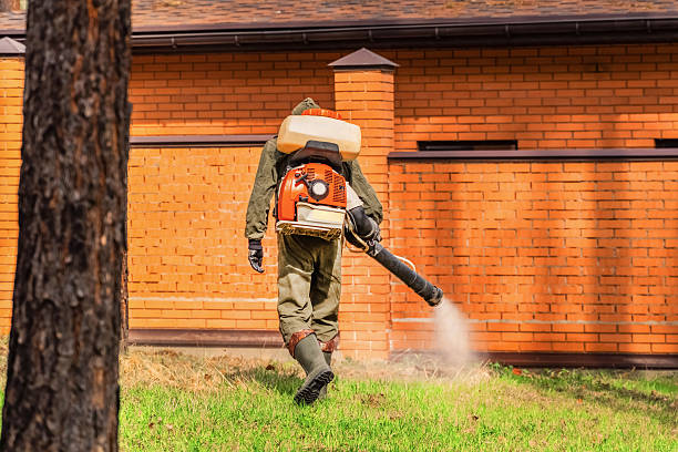 Trusted Termite Control service in Mifflinburg, PA - Nex Pest Control